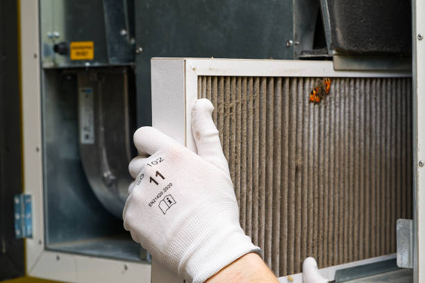 Best Best Air Duct Cleaning Company  in Williamston, MI