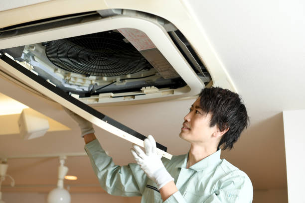 Best HVAC Air Duct Cleaning  in Williamston, MI