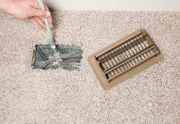 Best Affordable HVAC Duct Cleaning  in Williamston, MI