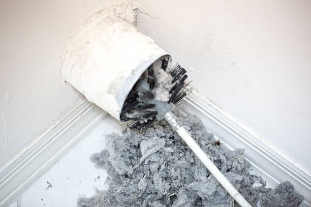 Best Air Quality Test  in Williamston, MI